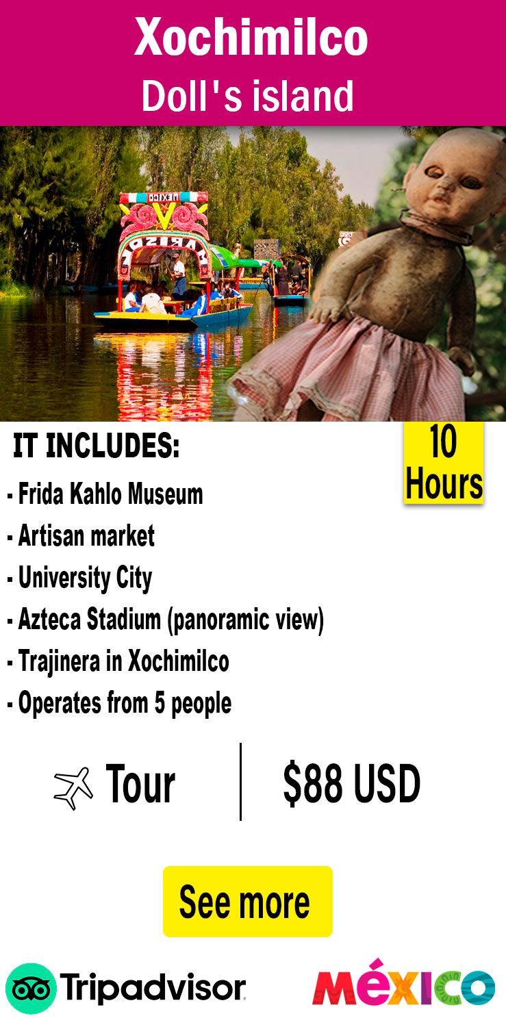 Xochimilco 3