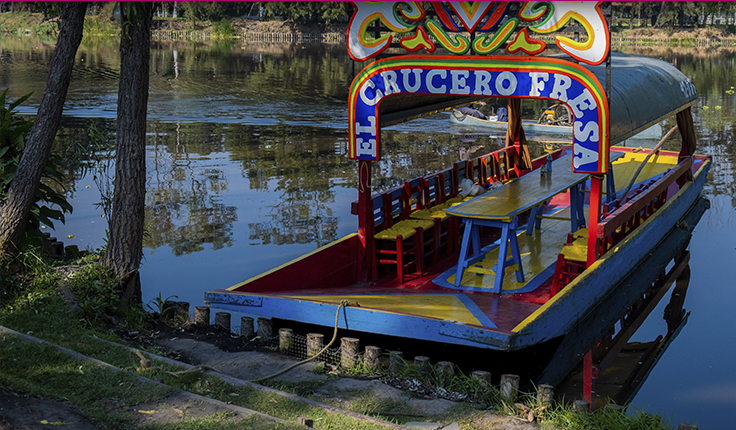 Coyoacán Xochimilco Tour de Ciudad